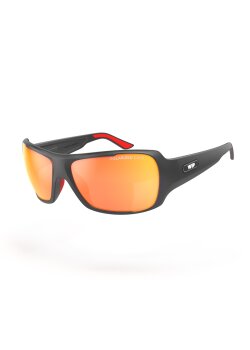 WIP - WIPSUN POLARIZED L