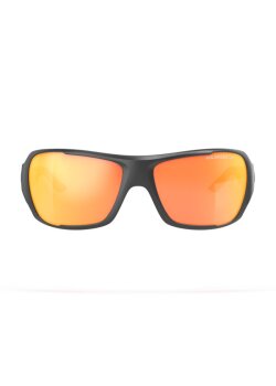 WIP - WIPSUN POLARIZED L
