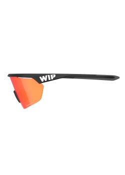 WIP - GUST AERO 2.0 POLARIZED