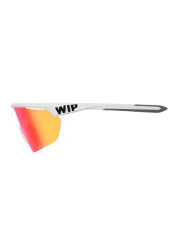 WIP - GUST AERO 2.0 POLARIZED